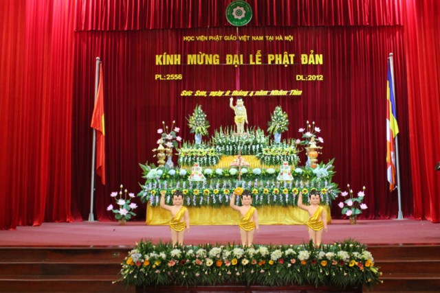 anh phat dan 1