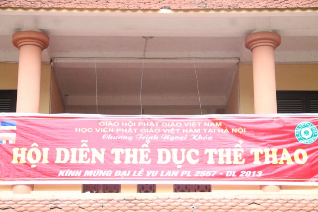 anhthethao2013 13